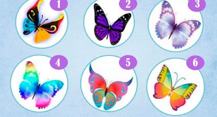 Si quieres saber si eres apasionado, elige una de las 6 mariposas y descúbrelo en este test visual