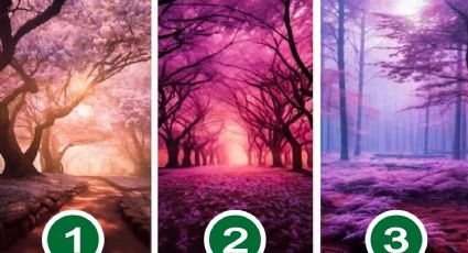 Elige uno de estos bosques mágicos del test visual para saber cómo fue tu vida pasada