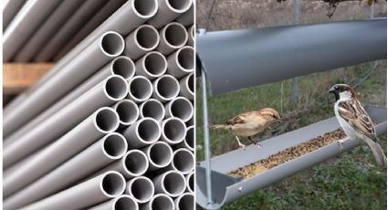 Con un trozo de tubo de PVC, haz un comedero de pájaros DIY que llenará de vida tu jardín