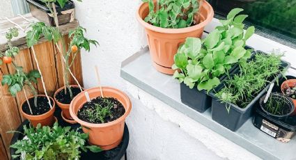 No tires los trapos rejilla de la cocina, úsalos para hacer estas macetitas DIY súper estilosas