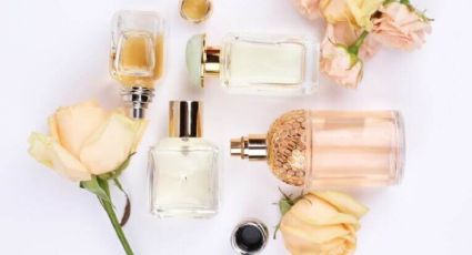 Los frascos de perfumes más originales pueden convertirse en un fabuloso objeto de decoración