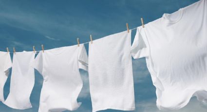 Conoce cómo preparar detergente casero para despercudir la ropa blanca sin usar cloro