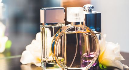 Solo necesitas ver el empaque para conocer la duración de un perfume: truco de los expertos