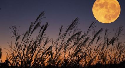 La influencia del eclipse lunar se extenderá en los próximos meses: giro en los signos del zodíaco