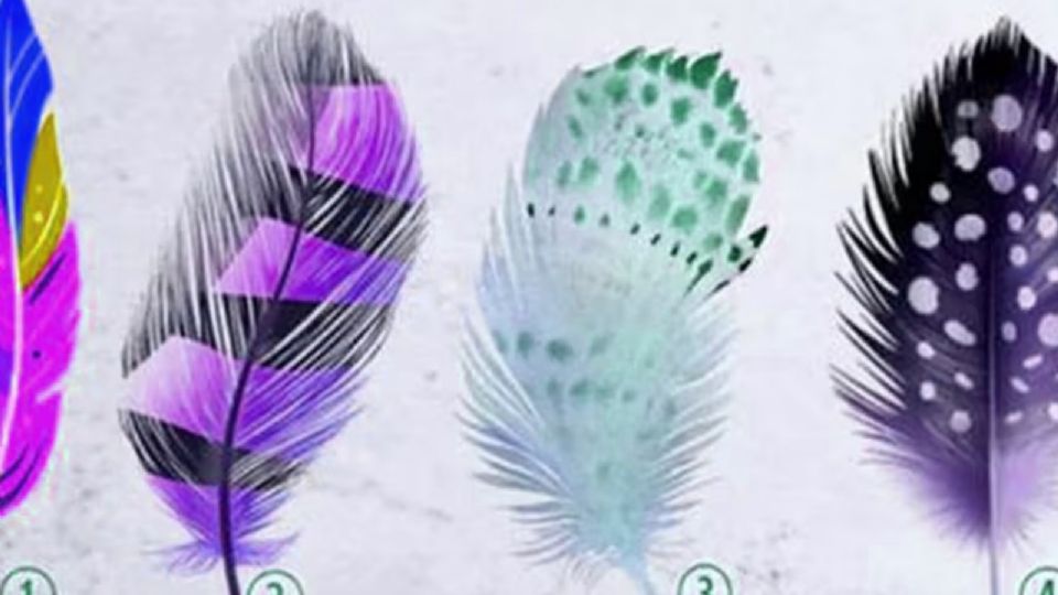Test visual. Fuente: (Noticias de México)