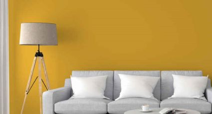 9 colores para tu casa que vienen directo del pasado: los tonos vintage más decorativos para tu hogar