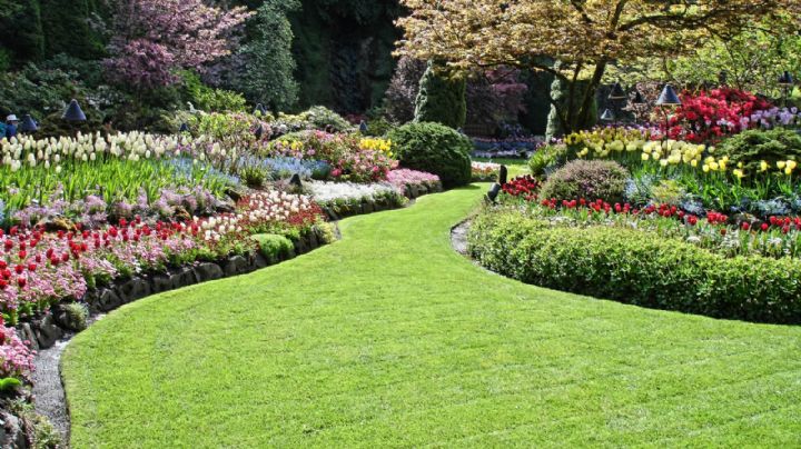 10 cosas que debes hacer para preparar tu jardín en primavera: tendrás plantas y flores exuberantes