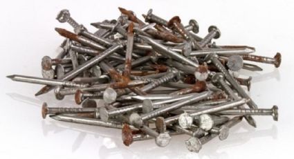 Tutores para plantas que ponen color y alegría al hogar: recicla viejos tornillos que no sirven