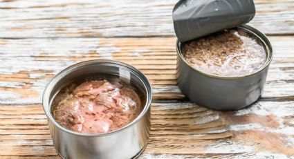 Macetas únicas para suculentas con latas de atún: un proyecto de reciclaje para decorar con estilo