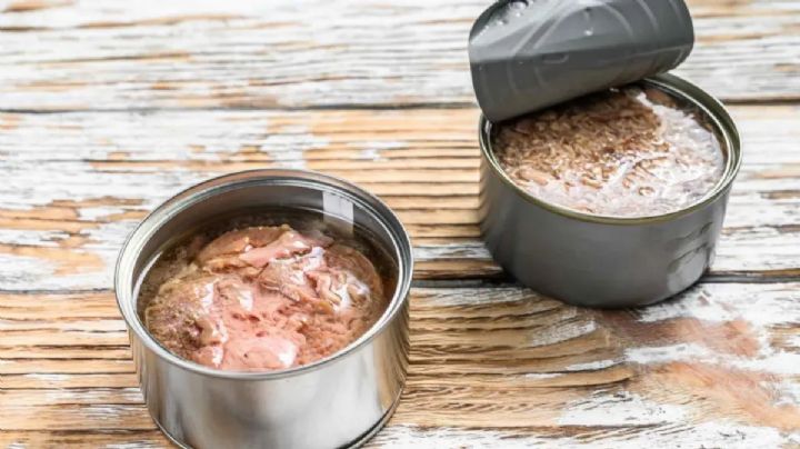 Macetas únicas para suculentas con latas de atún: un proyecto de reciclaje para decorar con estilo
