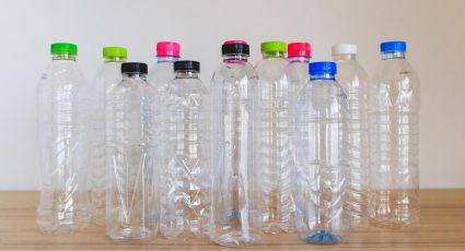 Botellas plásticas y goma EVA: la fórmula perfecta para crea portalápices divertidos y tiernos