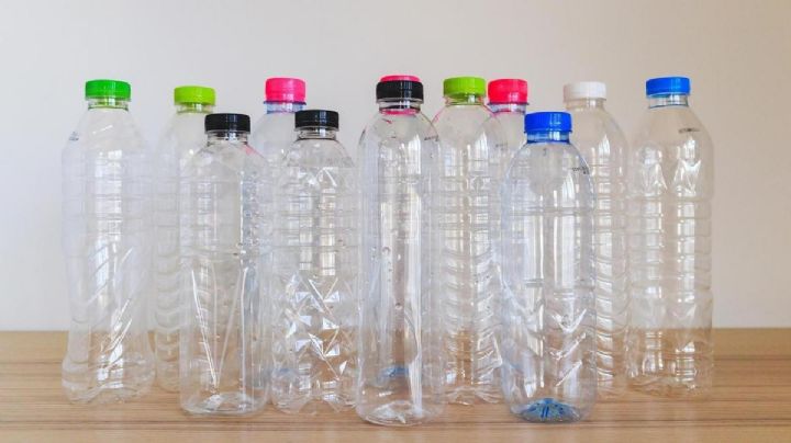 Botellas plásticas y goma EVA: la fórmula perfecta para crea portalápices divertidos y tiernos