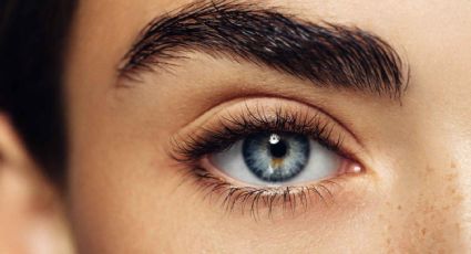 Prueba estos remedios naturales para el crecimiento de las cejas