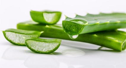 Descubre el grandioso poder del aloe vera para limpiar tus tenis blancos