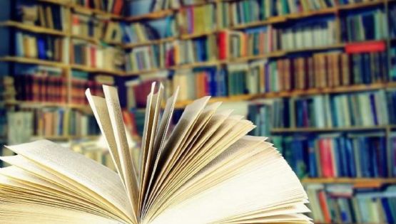 Estantes abarrotados de libros: el estilo de decoración que celebra el desorden con estilo
