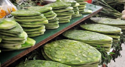 Prepara un delicioso nopal relleno de frijoles y queso: una opción nutritiva y deliciosa