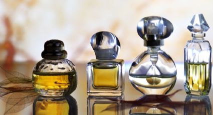 Recopilamos los 5 perfumes para los días en que quieras destilar elegancia 24 horas