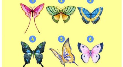 No te llevará más de 20 segundos saber qué necesitas para alcanzar el éxito: elige una de las 6 mariposas