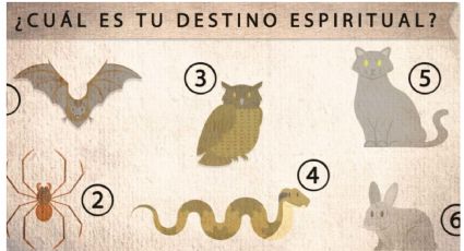 Conoce tu destino espiritual en 2025 con el Test Visual de los animales