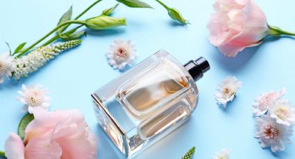 Fragancias de otoño: 7 perfumes que capturan el aroma de tus bebidas favoritas