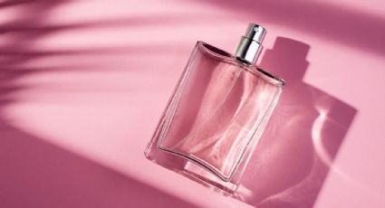 5 perfumes que tienen todo lo que me gusta en otoño: aromas amaderados con notas de especias