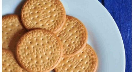 Prometo que vas a hacer más de una vez este postre con galletas María: la receta tiene un toque de café