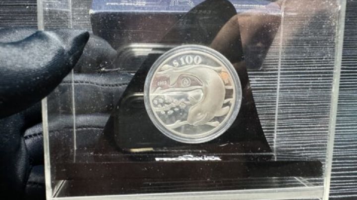 Numismática exclusiva: moneda de plata de $100 de la Vaquita Marina valuada en 14 mil pesos