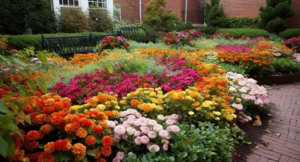 Resistente y de bajo mantenimiento: la planta con flores grandes que puedas tener en tu jardín