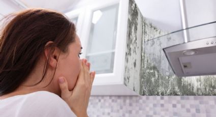 Adiós a las manchas de moho en la cocina: 2 trucos para eliminarlas de una vez y por todas