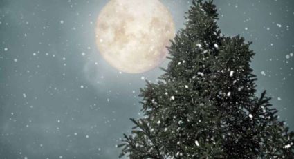 La Luna Fría, la última luna llena del 2024, trae importantes novedades para los signos del zodíaco