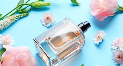 Una estela duradera de flores sutiles: el perfume infalible para oler bien todo el día