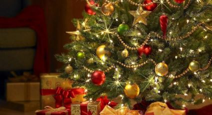 Si aún no te decides por la decoración del Árbol de Navidad: 3 arbolitos que amarás a primera vista