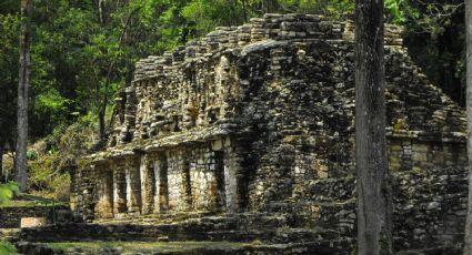 Aventura histórica en Yaxchilán: descubre la ciudad de las estelas