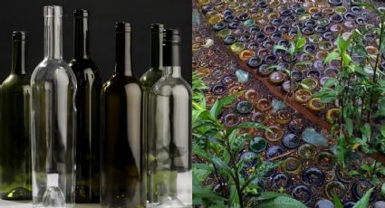 No necesitas más que botellas de vino recicladas para incorporar un hermoso camino a tu jardín