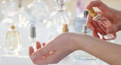 5 perfumes de Zara que le agregan un toque de magia a tus días de verano: ricos y a buen precio