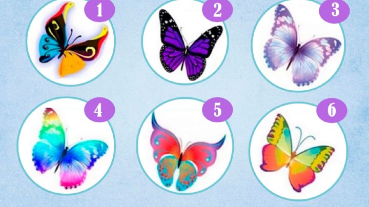 Si quieres saber si eres apasionado, elige una de las 6 mariposas y descúbrelo en este test visual