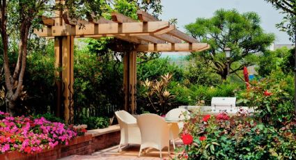 Las mini tendencias en decoración para disfrutar tu patio o jardín también en otoño