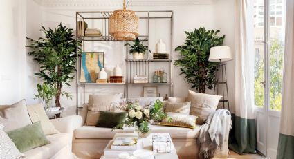 Estas 5 plantas son tendencia en decoración: llenarán tu hogar de vida, estilo y color esta primavera