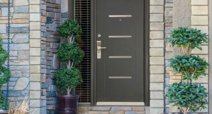 Decoran y traen prosperidad: 3 plantas que no pueden faltar en tu puerta de entrada, según el Feng Shui